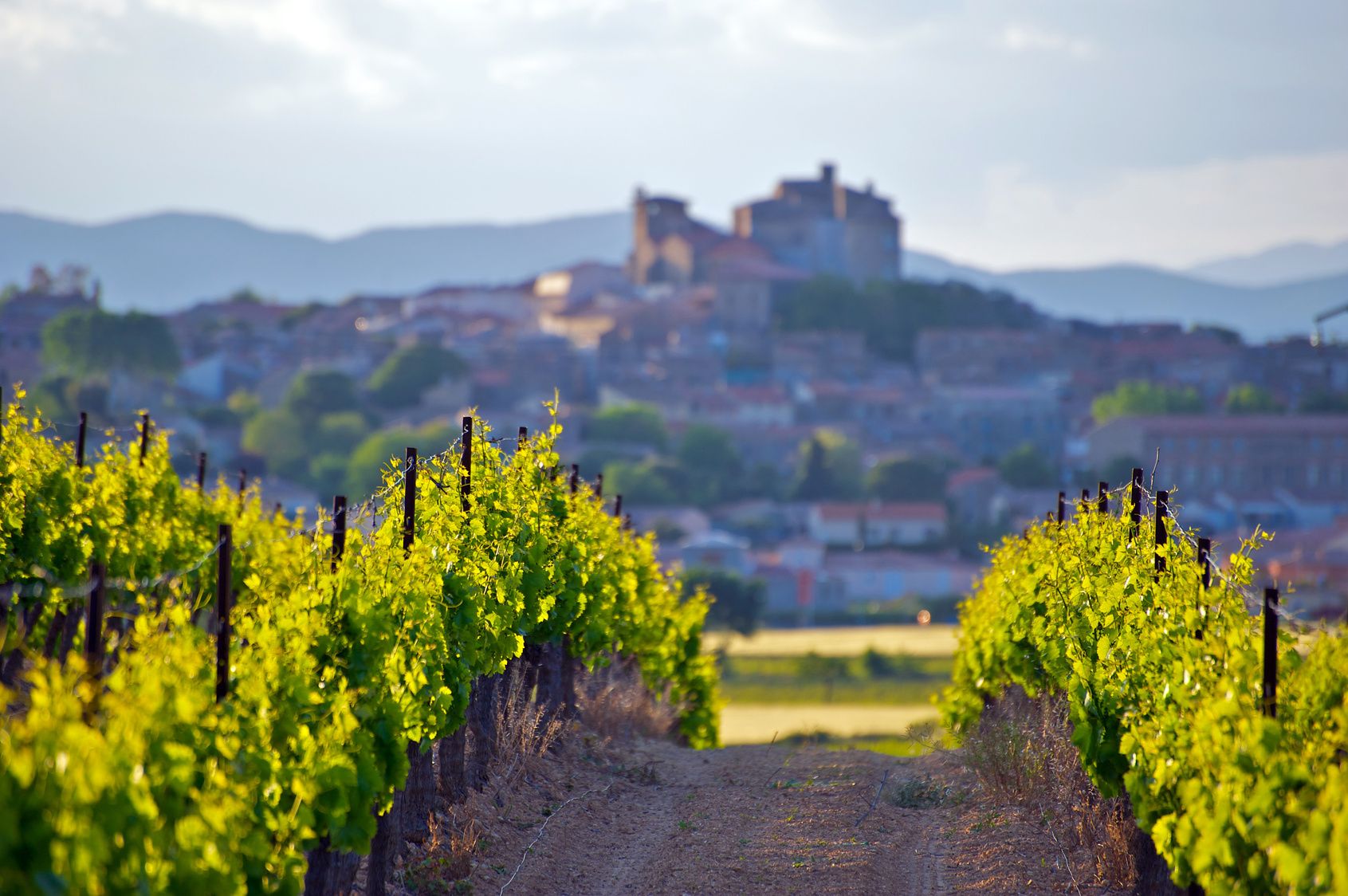 Weine aus dem Languedoc