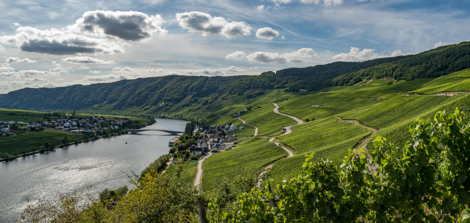 Weingut Alexander Loersch